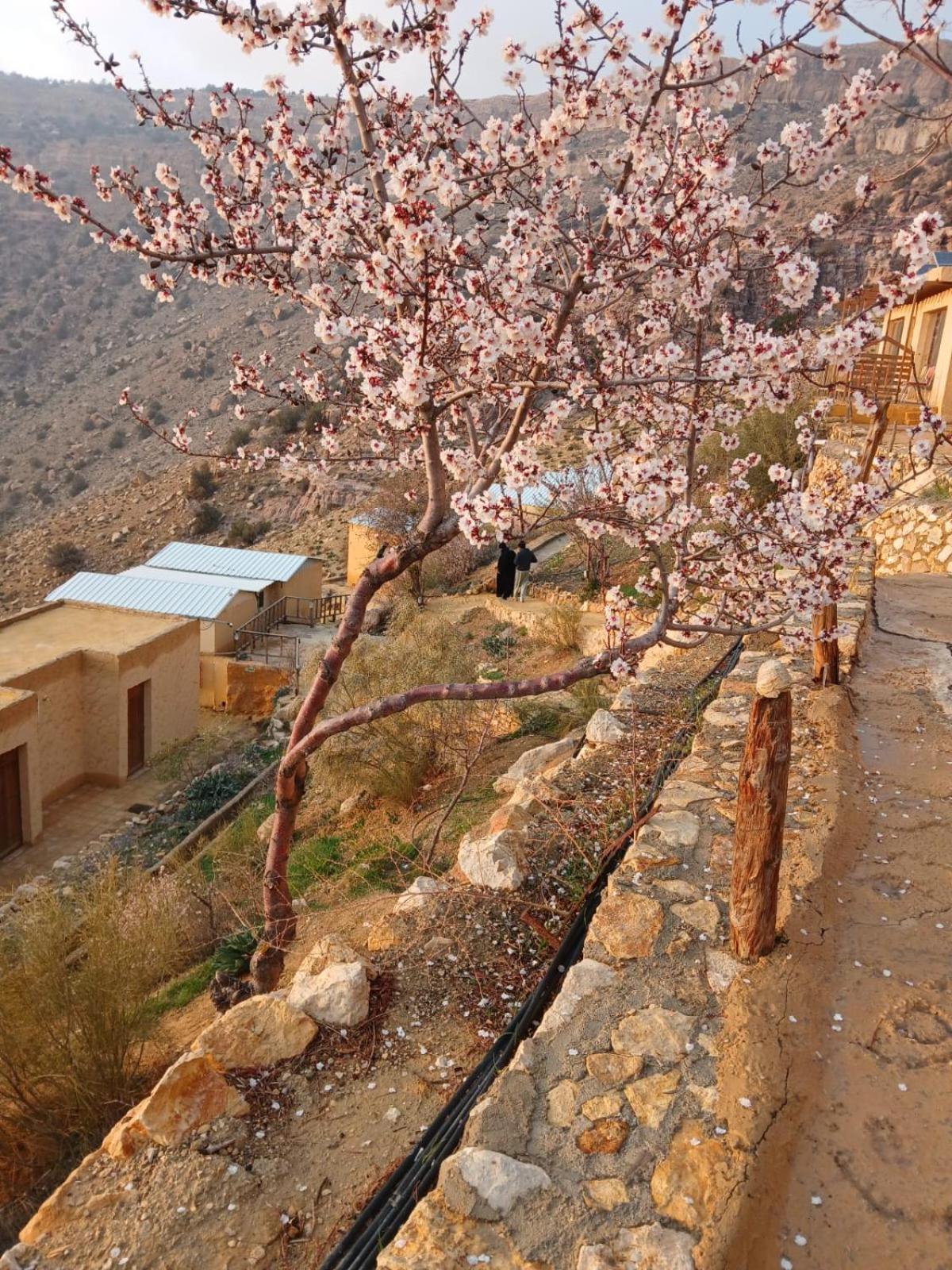 Dana Village Camp-Wadi Dana Eco Camp Eksteriør billede