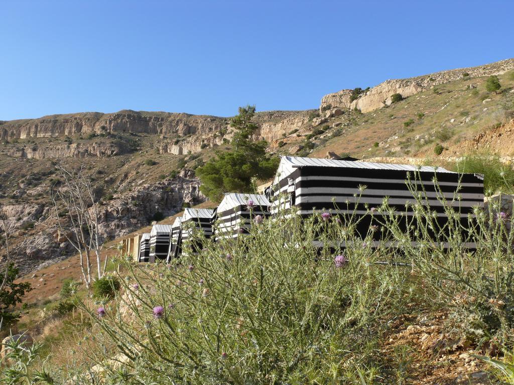 Dana Village Camp-Wadi Dana Eco Camp Eksteriør billede